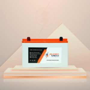 Inverter Battery